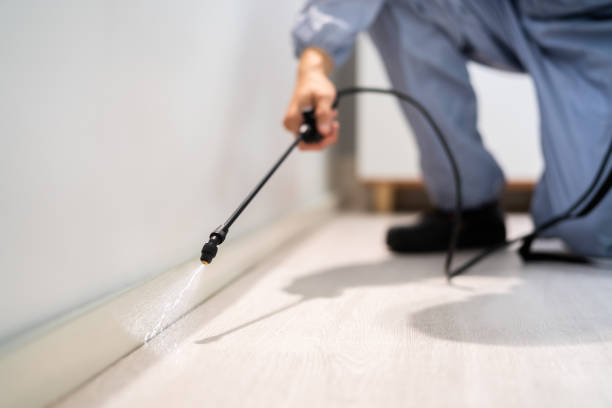 Bed Bug Pre-Treatment Preparation Assessment in Maryville
