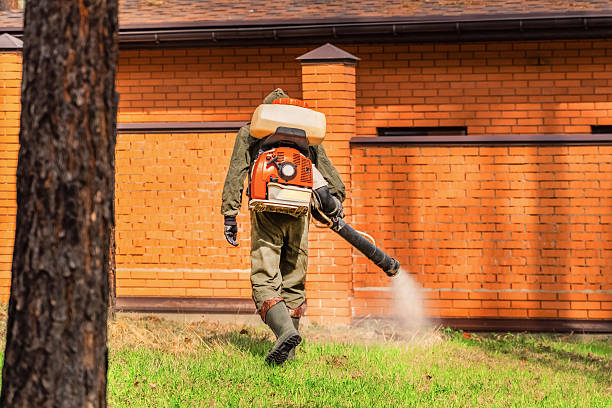 Bed Bug Clearance Verification and Documentation in Maryville